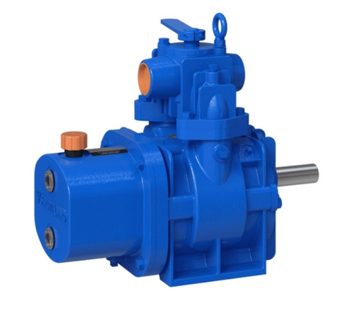 Fruitland Bare Pumps