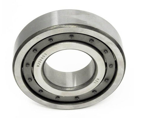 Fruitland Pump Roller Bearing RF500-19A