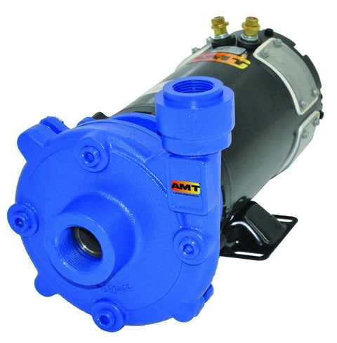 AMT 12 Volt DC Washdown Pump 12DC-95