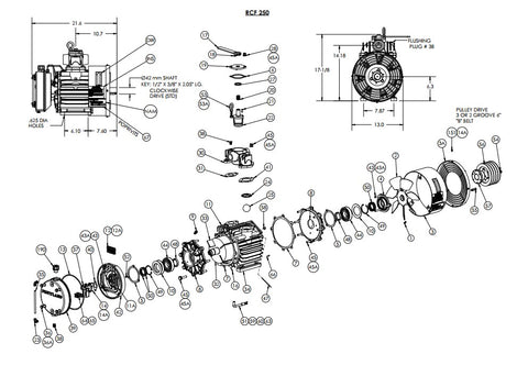 Divertap Oil Seal - RF250-244A